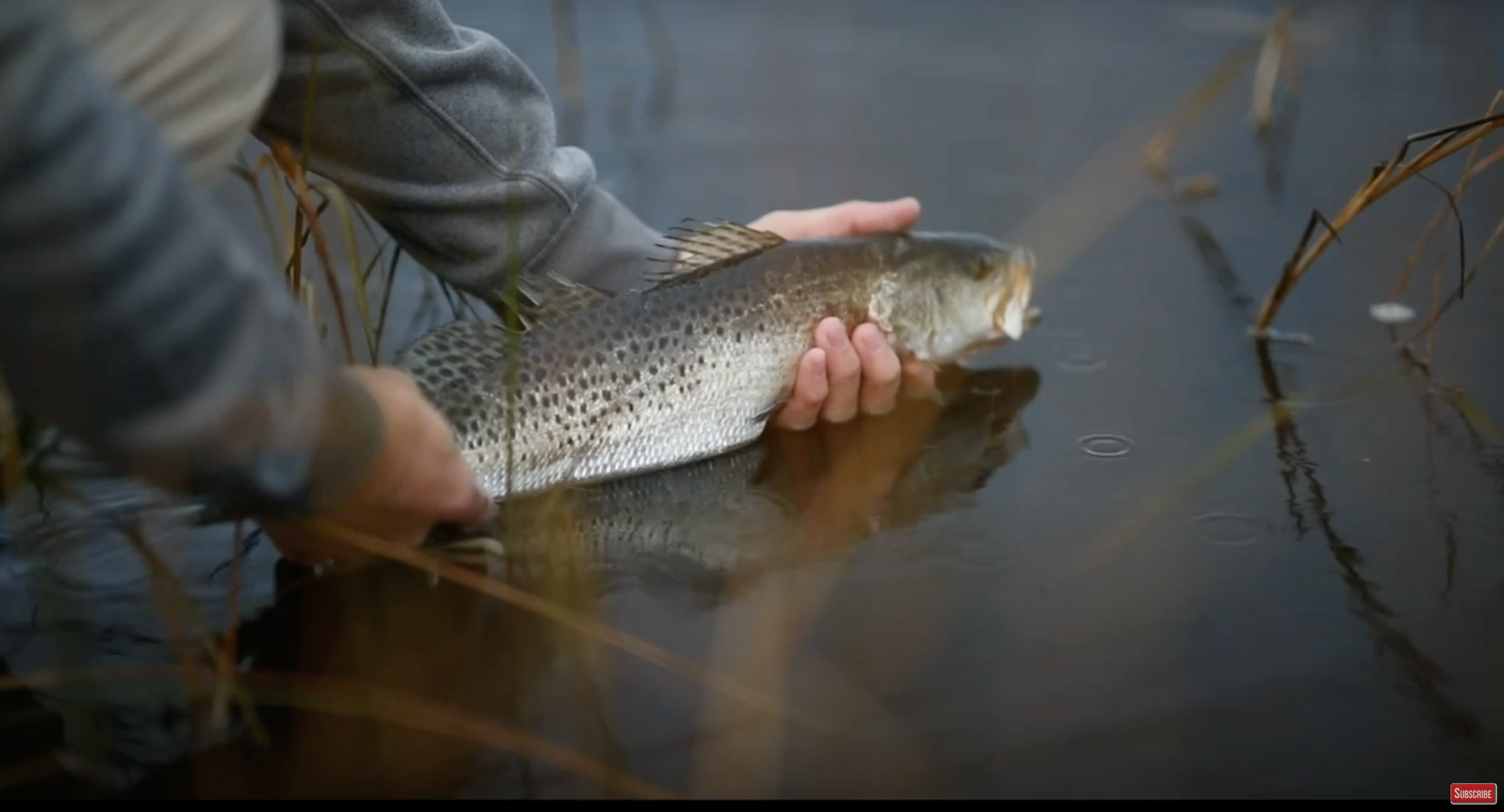 Releasing Trout | Navarre Kayak Fishing